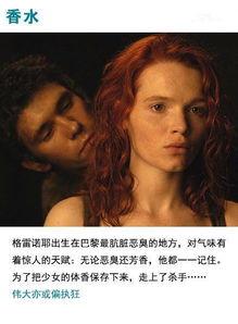 肉电影大全免费观看,一场视觉盛宴的揭秘之旅