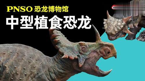 恐龙的世界视频,揭秘史前巨兽的传奇岁月