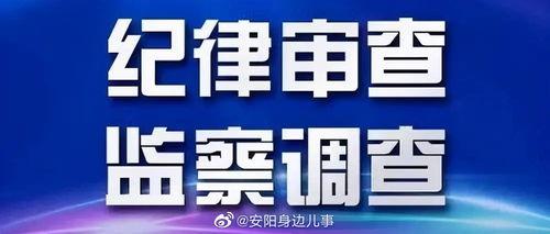 海诺科最新爆料,揭秘行业黑幕，深度解析行业动态