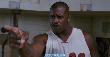 出轨的中国体育明星,揭秘中国明星出轨风波