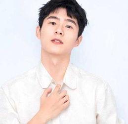 男明星头像.,揭秘男明星的帅气瞬间